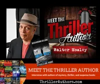 Meet the Thriller Author (Author Interviews) artwork