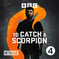 Intrigue artwork