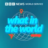 What in the World artwork