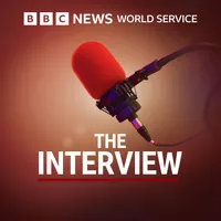 The Interview artwork