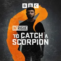 Intrigue artwork