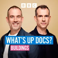 What's Up Docs? artwork