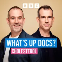 What's Up Docs? artwork