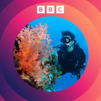 The Climate Question artwork
