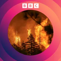 The Climate Question artwork