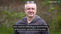 Tæt på Tænkepauser artwork