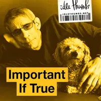 Important If True artwork