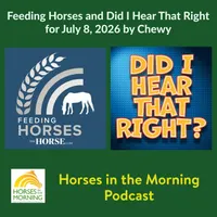 Horse Radio Network All Shows Feed artwork