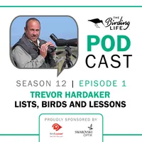 The Birding Life Podcast Network artwork