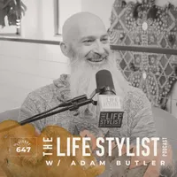 The Life Stylist artwork