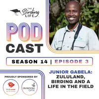The Birding Life Podcast Network artwork