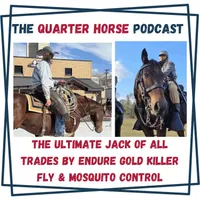 Horse Radio Network All Shows Feed artwork