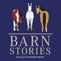 Horse Radio Network All Shows Feed artwork