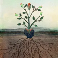 Emergence Magazine Podcast artwork
