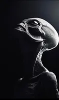 Mysterious Radio artwork