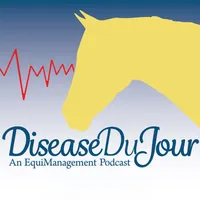 Horse Radio Network All Shows Feed artwork