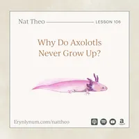 Nat Theo Nature Lessons Rooted in the Bible artwork