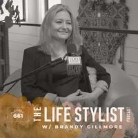The Life Stylist artwork