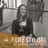 The Life Stylist artwork