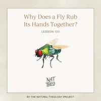 Nat Theo Nature Lessons Rooted in the Bible artwork