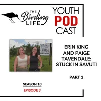 The Birding Life Podcast Network artwork