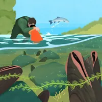 Future Ecologies artwork