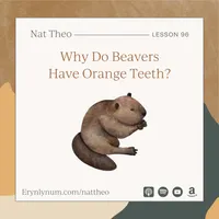 Nat Theo Nature Lessons Rooted in the Bible artwork