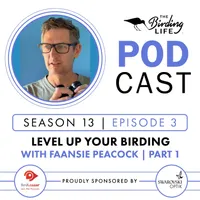 The Birding Life Podcast Network artwork