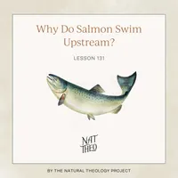 Nat Theo Nature Lessons Rooted in the Bible artwork