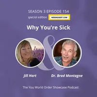 The You World Order Showcase Podcast artwork