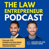 The Law Entrepreneur artwork