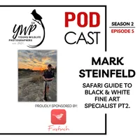 The Birding Life Podcast Network artwork