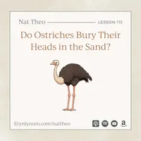 Nat Theo Nature Lessons Rooted in the Bible artwork