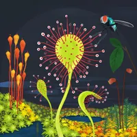 Future Ecologies artwork
