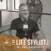The Life Stylist artwork