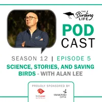 The Birding Life Podcast Network artwork