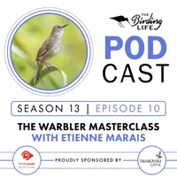 The Birding Life Podcast Network artwork