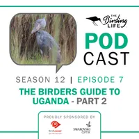 The Birding Life Podcast Network artwork