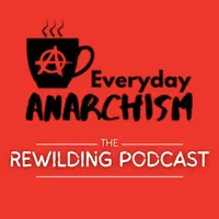 Everyday Anarchism artwork