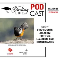 The Birding Life Podcast Network artwork