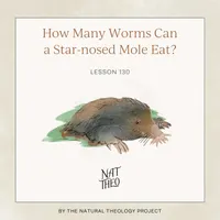 Nat Theo Nature Lessons Rooted in the Bible artwork