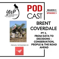 The Birding Life Podcast Network artwork