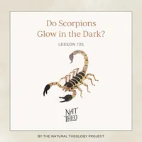Nat Theo Nature Lessons Rooted in the Bible artwork