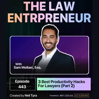 The Law Entrepreneur artwork