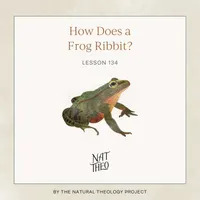 Nat Theo Nature Lessons Rooted in the Bible artwork