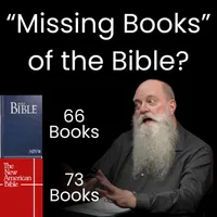 Anabaptist Perspectives artwork