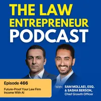 The Law Entrepreneur artwork