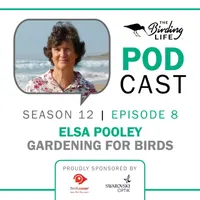 The Birding Life Podcast Network artwork