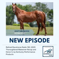 Horse Radio Network All Shows Feed artwork