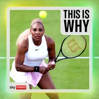 This Is Why artwork